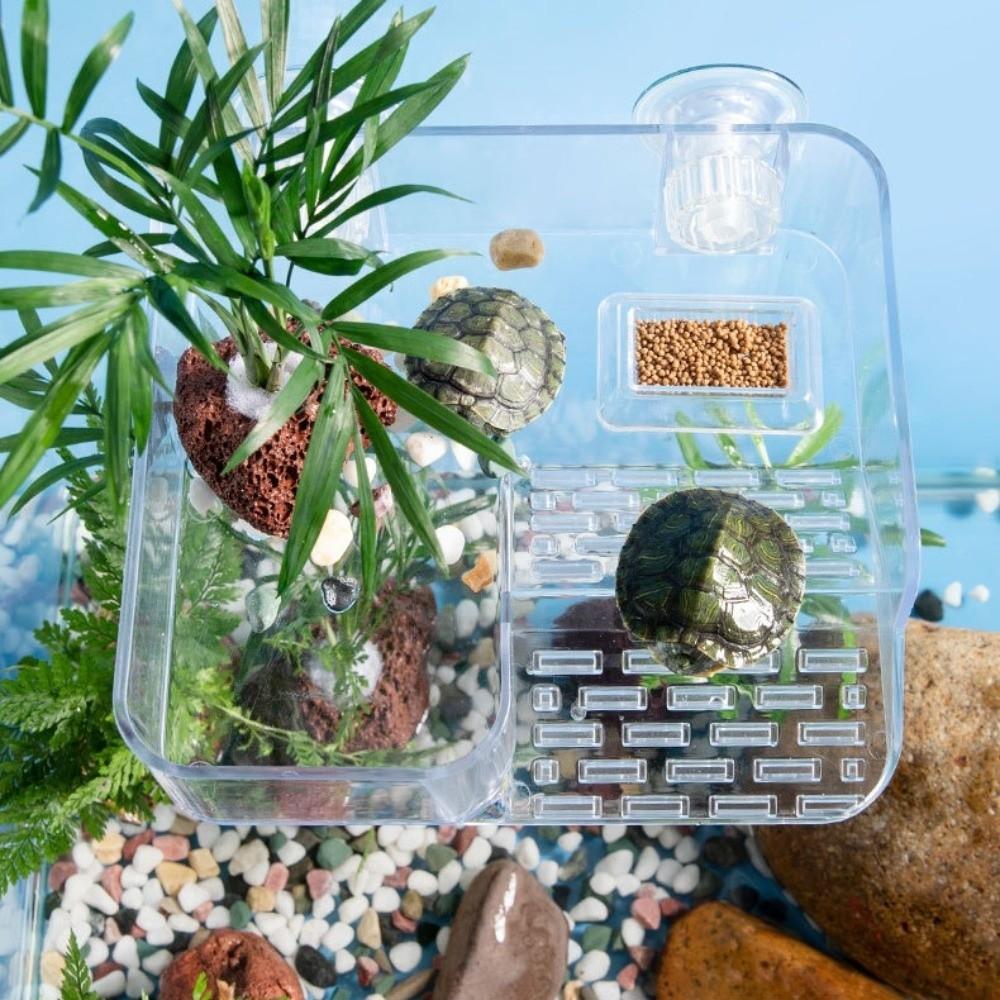 Transparent Tortoise Climbing Basking Platform Aquatic Turtles Terrace