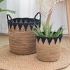 Elegant Woven Cotton Rope Basket Spacious Plant Basket Plant Holder with Handles Perfect for Any Home Setting