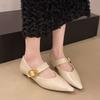 Pointed Mary Jane Single Shoes Women's Spring New Fashion Retro Shallow Mouth Thick Heel Small Leather Shoes