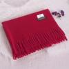 Women's Winter Solid Color Tassel Scarf - Thick Warm Korean Style Monochrome Imitation Cashmere Shawl