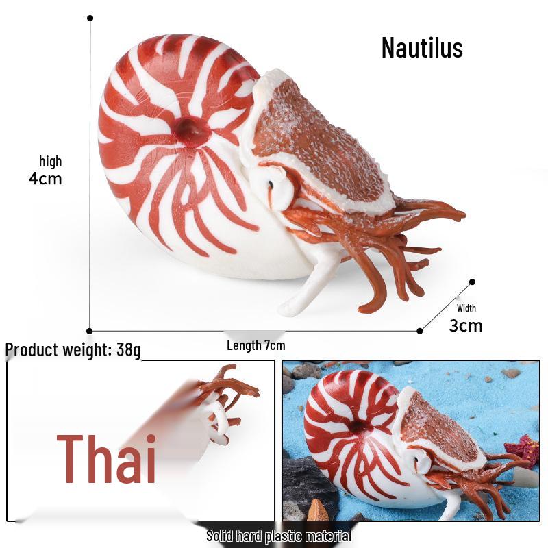 Ancient Marine Life Model: Trilobite, Eurypterid, Pikaia, Sea Scorpion, Nautilus Toy