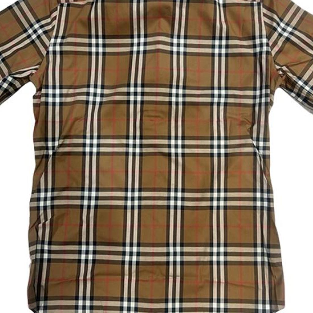 Burberry Shirts Men's Brown Lapel Moderate Other 80929031-