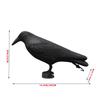 Decoracion Simulation Black Crows Raven Bird Repellent Pest Control Pigeon Repellent Garden Decoration Outdoor