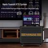 MALONE GT810S Portable KTV Smart Speaker System with Dual Mics CN Plug (adapter Included) (CN Version)