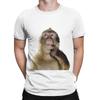Funny Monkey Thinking Meme Funny 100 Cotton TShirt Bib Punch The Monkey Tees Tops For Unisex
