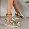 Modieuze Zomer Sleehak Sandalen voor Dames 2024 Goud Zilver Hoge Hak Platform Sandalen Dames Dikke Zool Rome Sandalen Dames