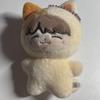 Danim Nct Jung Jae-hyeon Doll Cheese Jan