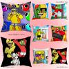 Husa de pernă Anime S-Sunny și M-Melon Husa de pernă Anti-acarieni Fermoar ascuns pluș scurt mătăsos Husa pentru pernă de canapea