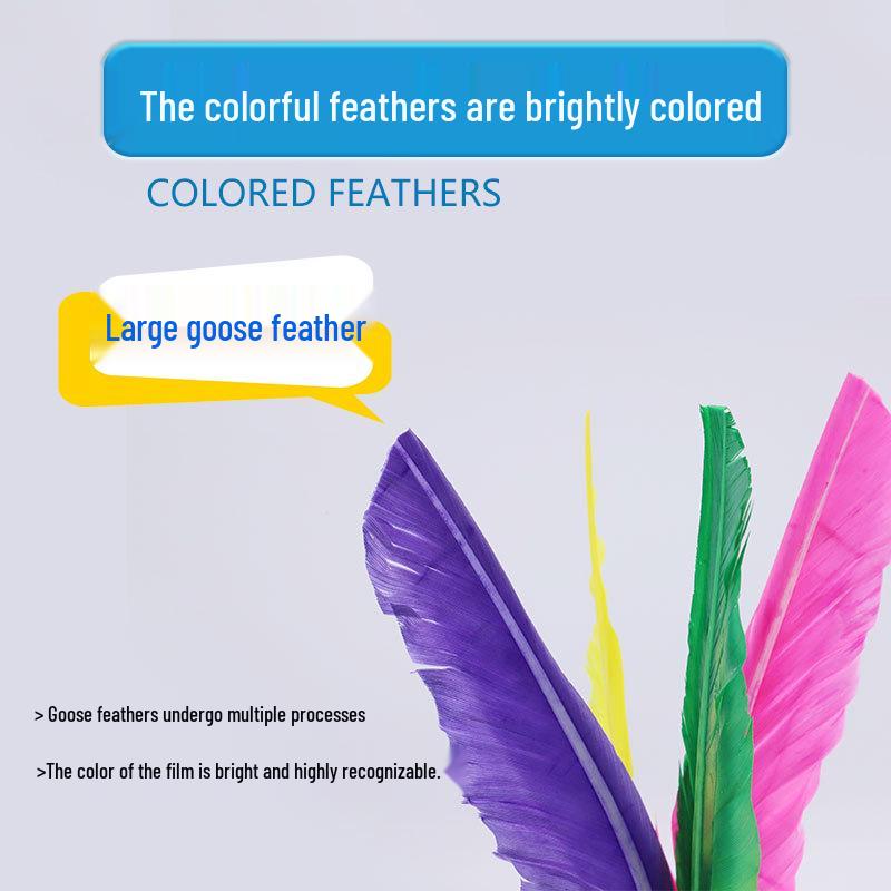 Jianzi Coloré à Plumes pour Étudiants - Grand, Plume d'Oie