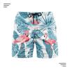 Surf e mergulho – Calções de surf e praia