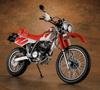Hasegawa Honda XLR BAJA 1991 Plastic Model BK16 1/12 (MD22) (Motorcycle)