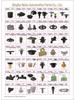 Peugeot Car Door Panel & Fender Nylon Snap Fasteners