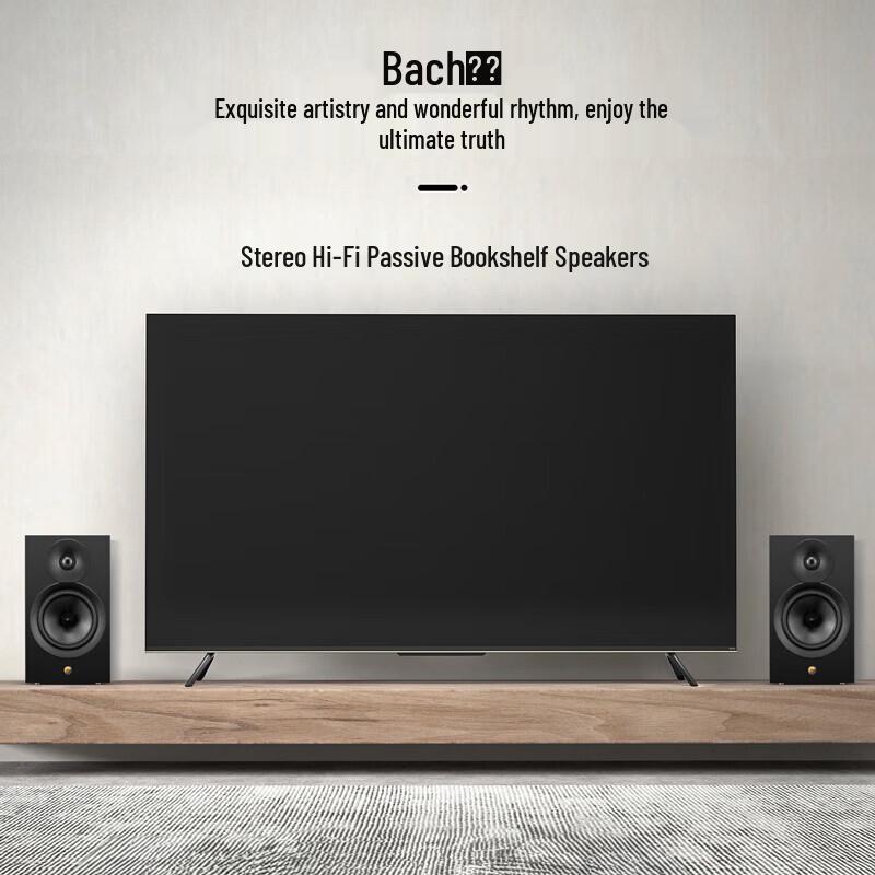 HiVi Bach Passive HiFi Bookshelf Speakers with Diva Stands CN Plug (adapter Included)