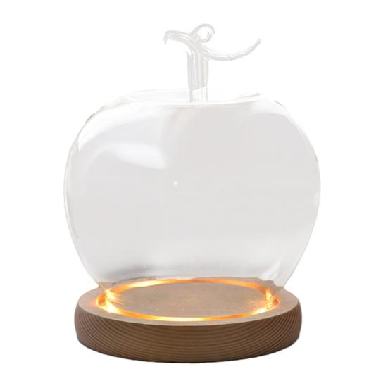 Glaskupa med träbas Klar glaskåpa Dammtät Dekorativ visningskupa för konserverade blommor Miniatyrer Smycken