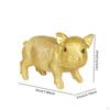 Pig Piggy Bank Cute Container Ornament Collection for Home Decoration Money Saving Pot Living