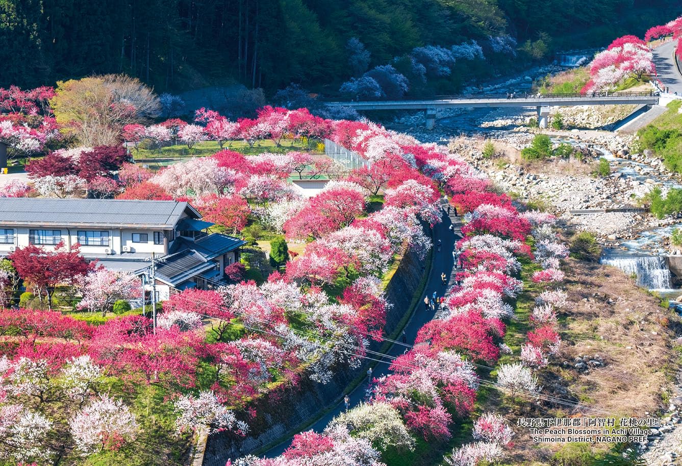 Cuties in jigsaw 120 Japanese cities Achi Shimoina Nagano Prefecture Includes adhesive and (Made Japan) 300-piece puzzle - Village, District,
