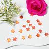 [ Resin Maple Leaves] Resin Two-Color Maple Leaves | DIY Materials, Handmade Nail Art, Jewelry Making, Autumn Accessories