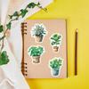 50Pcs Waterproof Plant Stickers for Cups Phone Cases Decoration Creative PVC Decals