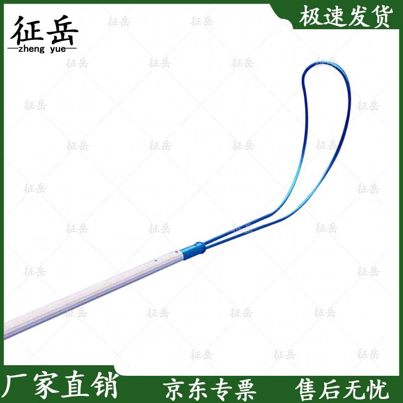 Pool Rescue Telescopic Pole with Hook