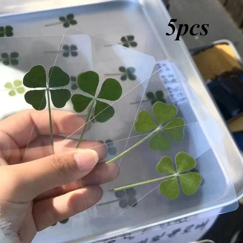 

New 5pc Lucky four leaf Clover Postcards Natural Grass Transparent Wishing Cards Wish Healing Fresh Simple Wind Transparent Gift