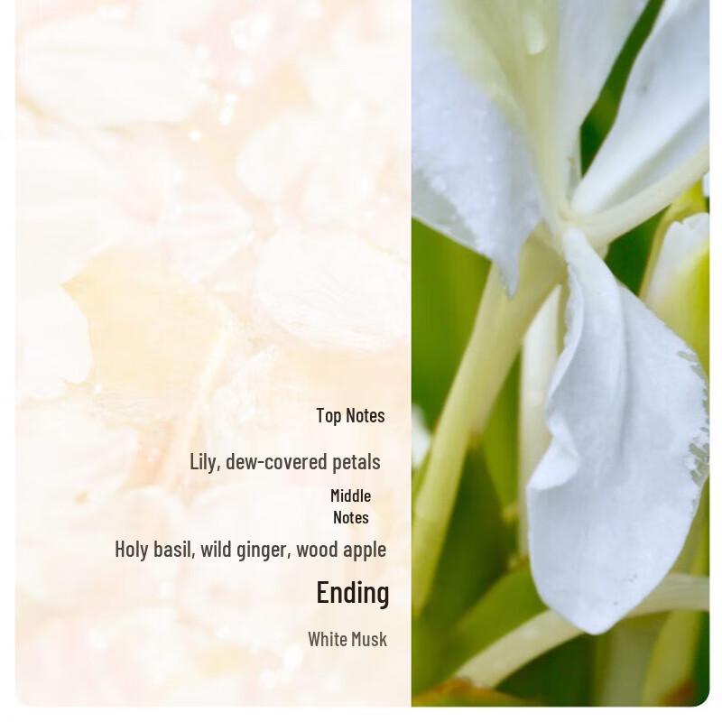 AOG Naturals Wild Ginger Volumizing & Strengthening Shampoo