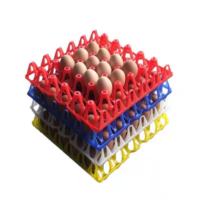 Plastic Stackable Colored Egg Tray for Transportation and Incubation