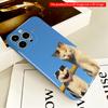 Two Cats Basking in Blue Sky All inclusive film hard phone case, compatible with iPhone 18 Pro Max 17 16 15 14 13 12 11