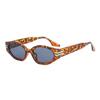 Eyliees Gafas de Sol Vintage para Mujer Gafas Retro Pequeñas Mujer/Hombre Gafas de Leopardo Mujer Marca Diseñador Gafas De Sol Mujer