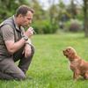 Adjustable Pet Training Whistle Portable Dog Recall Whistle Pet Training Supplies  Pet Recall