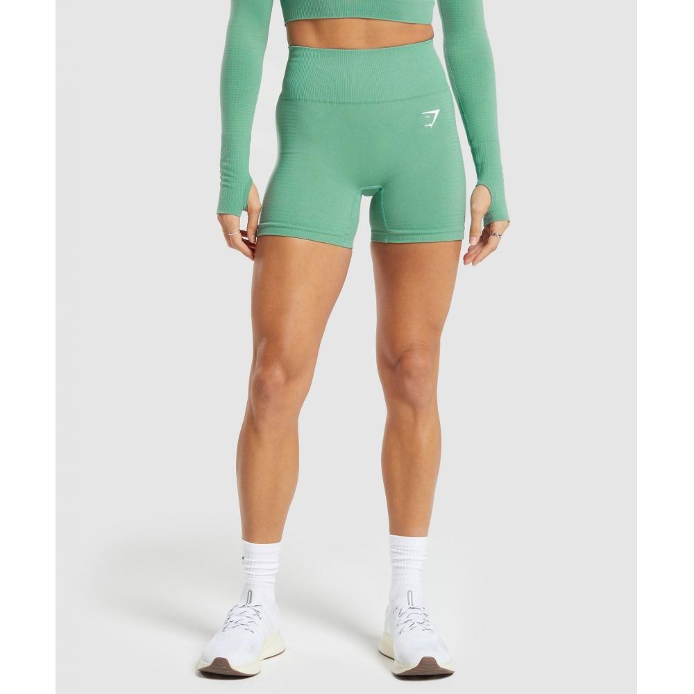 

Шорты GYMSHARK Vital Seamless 2.0 Lagoon Green Marl B1A4J ECH4