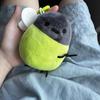 Light-emitting Firefly Plush Doll Keychain Light-emitting Firefly Plush Keyring  Kids Birthday Gift