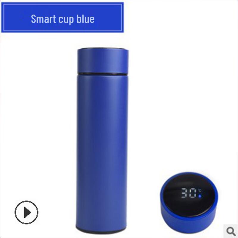 Smart Temperature Display 304 Stainless Steel Insulated Bottle