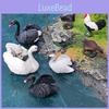 Figures Realistic Animal Model With Ducks Rooster Swans For Display Decorative
