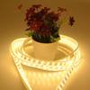Waterproof 220V LED Strip Lights: Tri-Color, Self-Adhesive, Extra Bright for Living Room, Ceiling Trough, and Outdoor Use