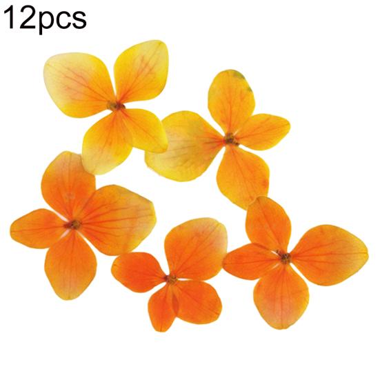 12Pcs Pressed Dried Epoxy Flower Plant Specimen Decor Resin Phone DIY