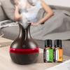 Compact USB Humidifier & Diffuser, 300ml, with 2 Oils, Ideal for Travel & Small Rooms