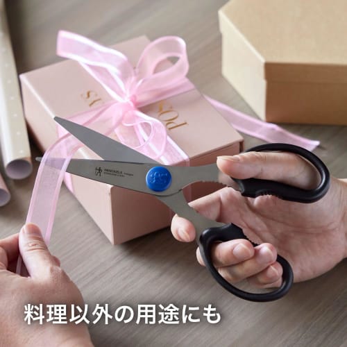 Henckels Kitchen Scissors, Cologne Stainless Steel Kitchen Scissors [Official Japanese Product] 11515-001 Henckels