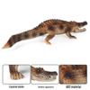 Crocodile & Alligator Educational Toy Model for Kids - Wildlife Science Gift