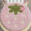 Cute Strawberry Chair Cushion Cushion Office School Study Backrest
