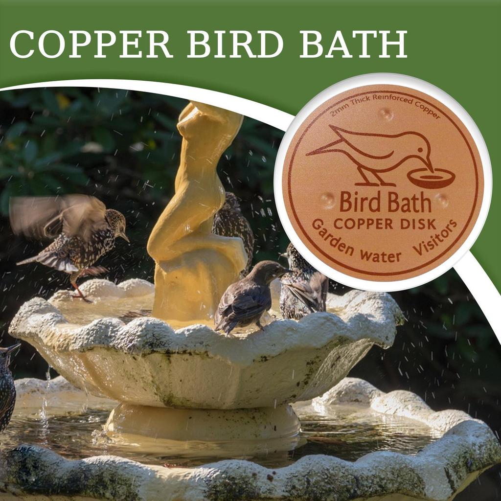 Metal Birds Bath Tray Copper Bird Bath Disk Outdoor Feeder Cleaning Accessories Triple-Point Support Purifier Disc Water Bowl