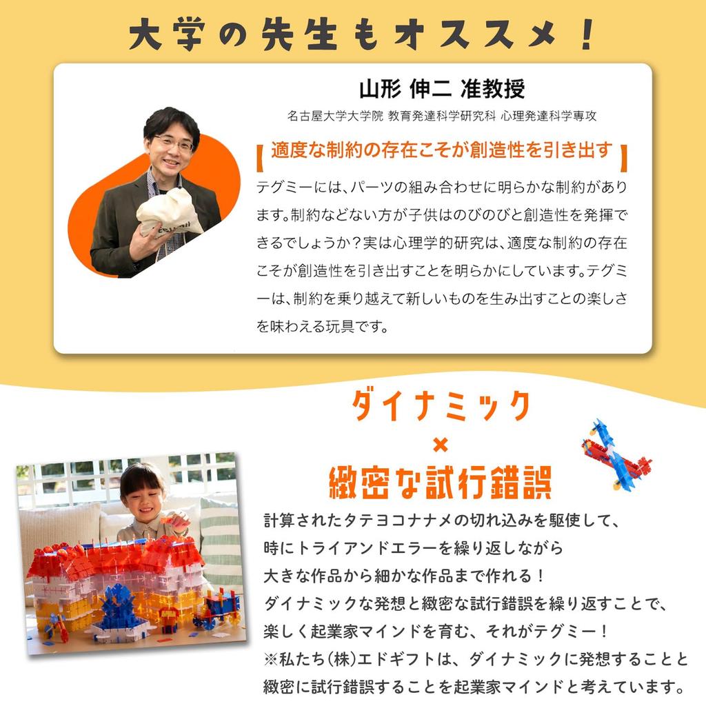 TEGUMII Block [Cultivate Entrepreneurial Mind] (Basic Set 104 Pieces)