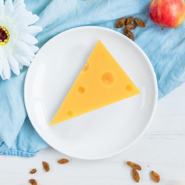 Decorative Cheese Artifact Sturdy Plastic Component For Display And Education