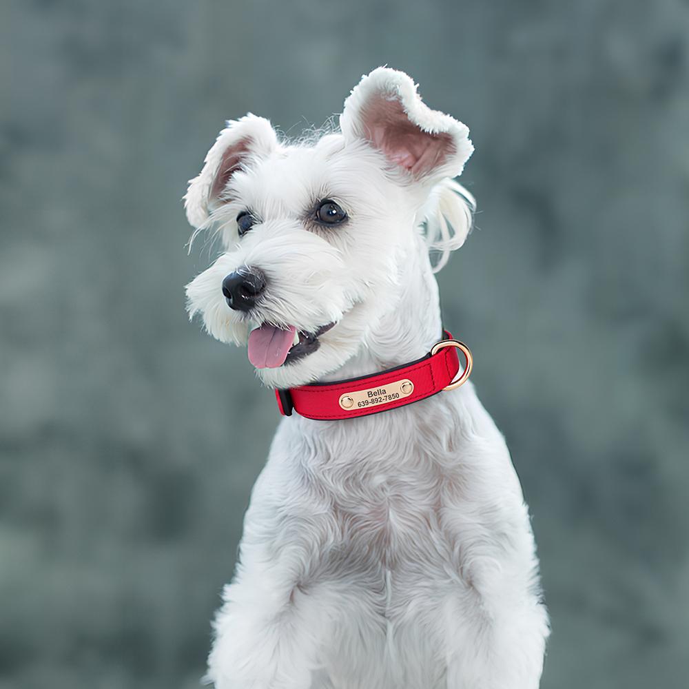 Custom Dog Collar Waterproof Nylon Dog Collars Soft Padded Puppy Pet Necklace for Small Medium Dogs Chihuahua Pug Breathable