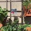 Hanging Bird Feeder Outdoor Transparent Mason Jar Flowers Decoration Hummingbird Feeder