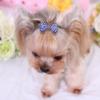 Non-slip Pet  Hair  Clips Bone-shaped Colorful Rhinestones Decoration Hairpin Hair Grooming