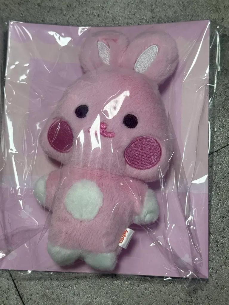 ATEEZ (Unopened) ANITEEZ Flat Fur Doll Mochi Star