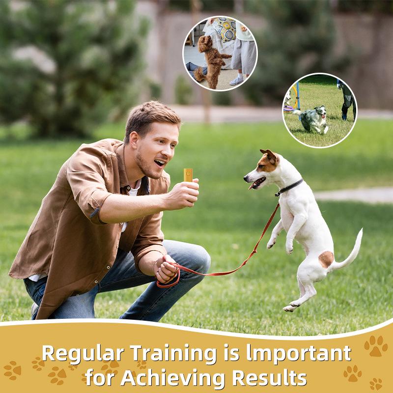 High-Power Ultrasonic Dog Repeller: Long-Range Training and Anti-Barking Device for Outdoor Use
