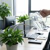 Large Capacity Watering Can Transparent Gardening Watering Bottle Watering Sprayer  House Plants