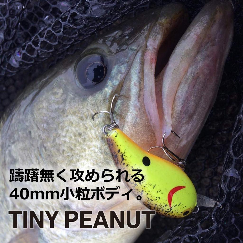 DAIWA Bass Tiny Peanut Chigil SR Lure