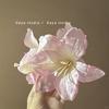 French Style Simulated Lily Flower Clip High-end Holiday Shark Clip